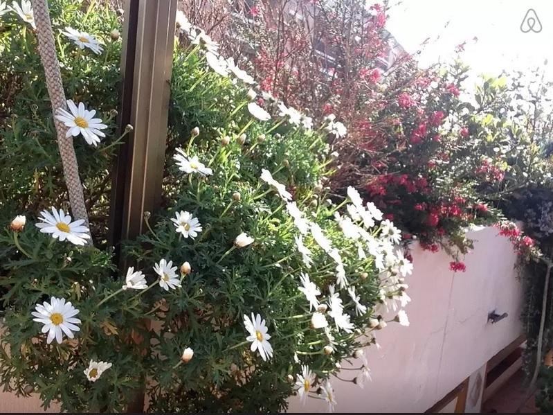 Highgarden * Rome